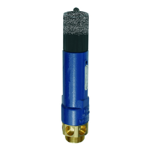 Riegler Hochleistungs-Sicherheitsventil, MS, G 1 1/2, Ansprechdruck 2 bar
