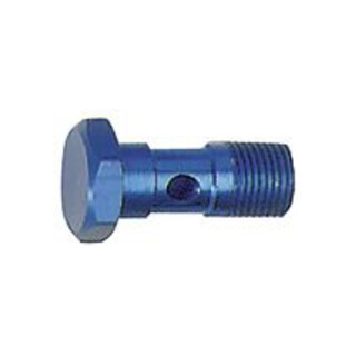 Riegler Hohlschraube, G 1/8, SW 14, Aluminium