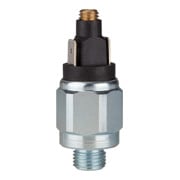 Riegler Interrupteur de pression, standard, acier zingué, G 1/8, 10-70 bar, contact fermé-1