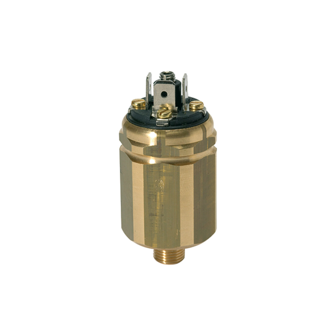 Riegler Interrupteur pression-vide, MS, contact inverseur, G 1/8, 20 - 800 mbar