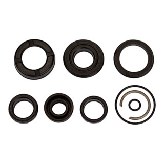 Riegler Jeu de joints pour vérin compact, Ø piston 100, joint PU
