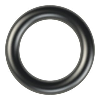 Riegler Joint de rechange pour détendeur bouteille 300 bar, tous gaz