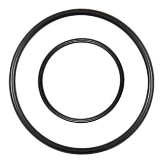 Riegler Joint de rechange pour filtre/régulateur en acier inoxydable, BG 3
