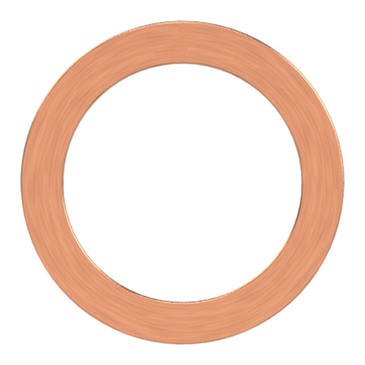 Riegler Joint d'étanchéité en cuivre, pour filetage G 1, VPE 100 pcs.