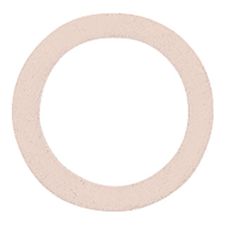 Riegler Joint d'étanchéité en polyamide, pour filetage G 1/8, VPE 100 pcs