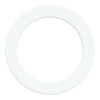 Riegler Joint d'étanchéité en polyamide, pour filetage G 3/4, VPE 100 pcs.