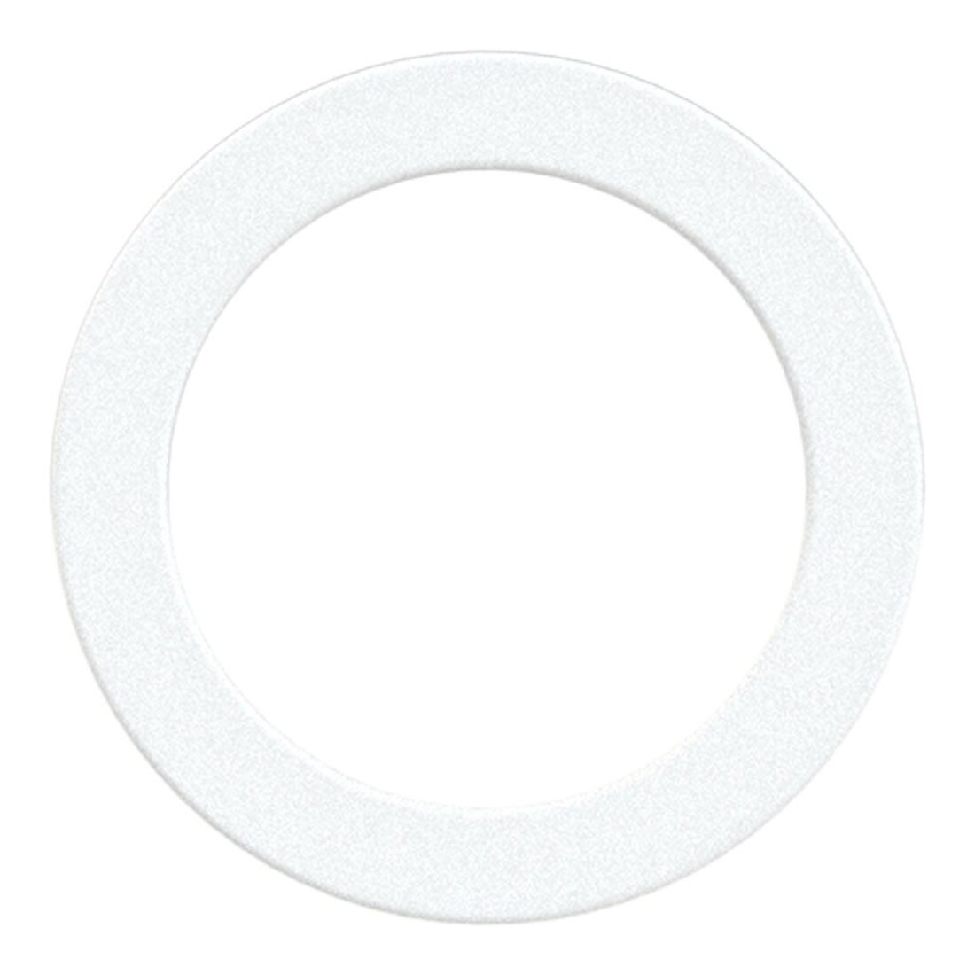 Riegler Joint d'étanchéité en PTFE, pour filetage G 1/2, VPE 100 pcs