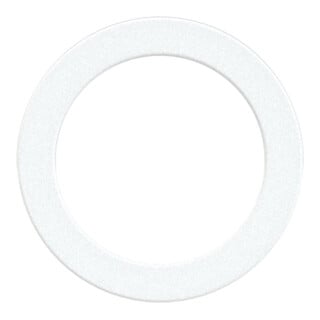 Riegler Joint torique en polyamide, pour filetage G 1/4, VPE 100 pcs
