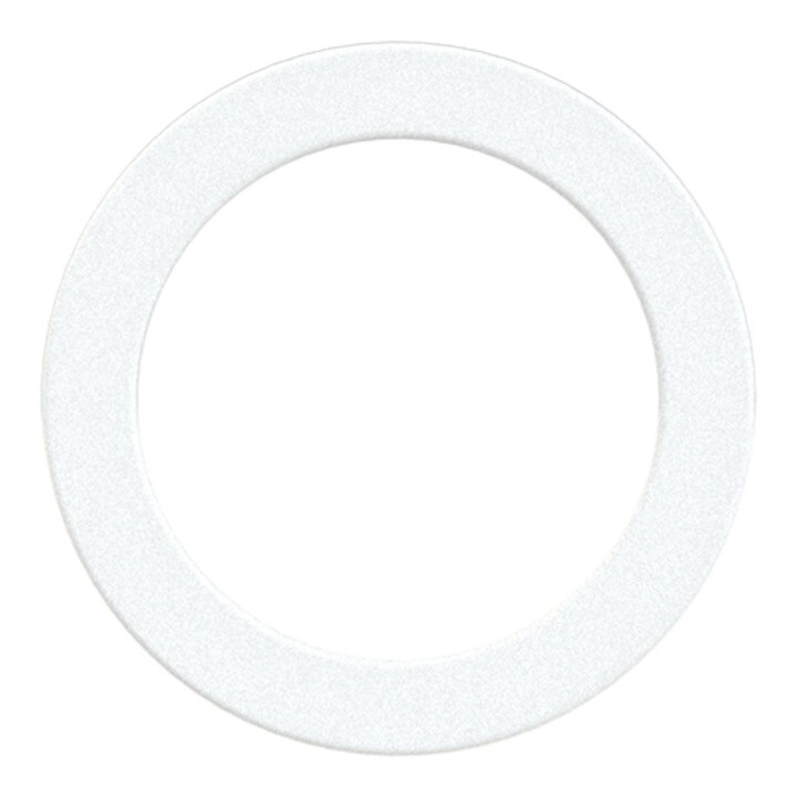 Riegler Joint torique en PTFE, pour filetage G 1, lot de 100 pièces