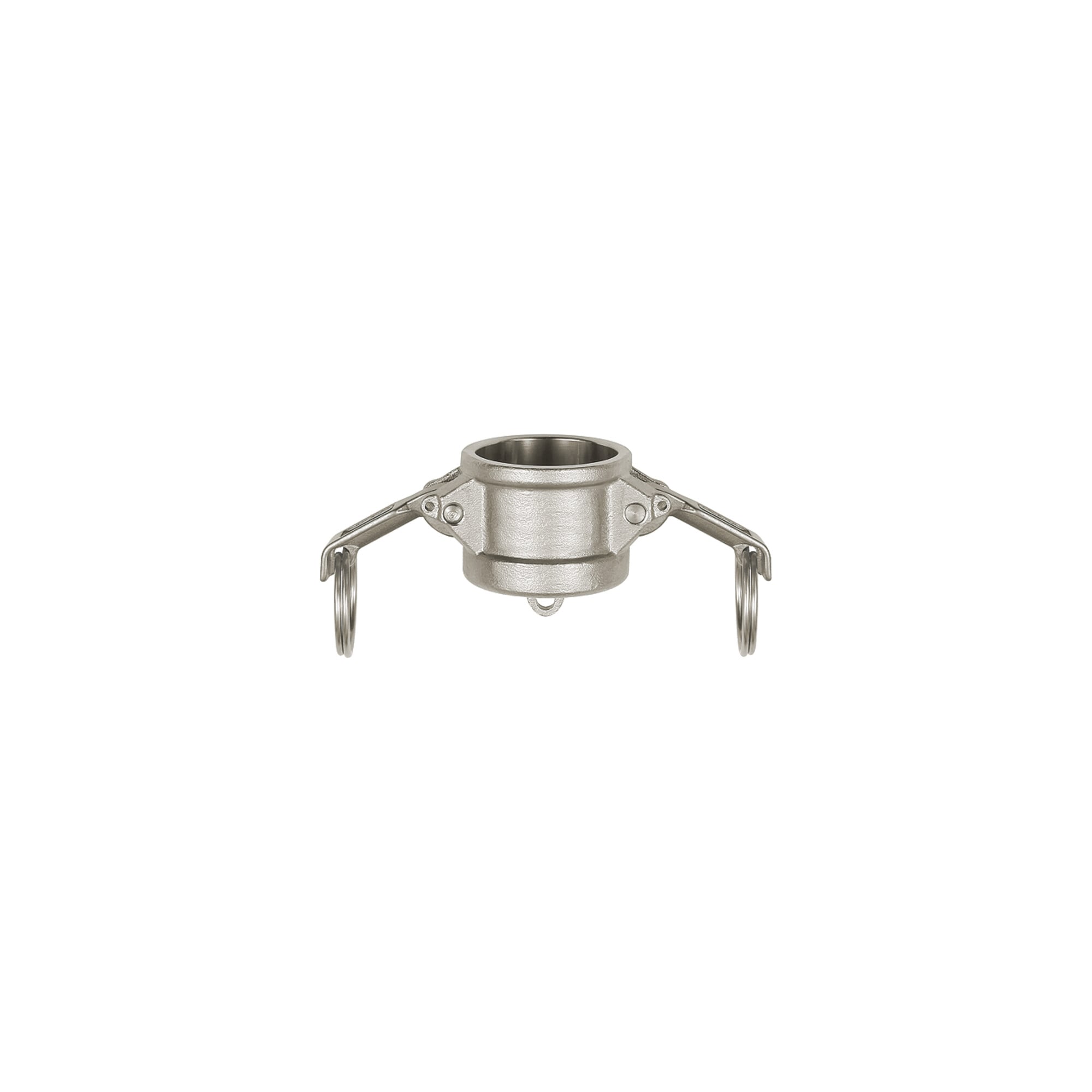 Riegler Kamlok-Verschlusskappe, Typ DC, ES 1.4401, für Stecker-Ã ̃ 64 mm