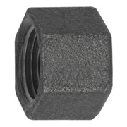 Riegler Kappe 300, Rp 2 i. Temperguss schwarz-1