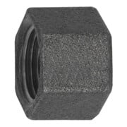 Riegler Kappe 300, Rp 3/8 i. Temperguss schwarz-1