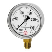 Riegler Kapselfedermanometer, CrNi-Stahl, G 1/2 unten, 0-160 mbar, Ã˜ 100, 6843-R-1
