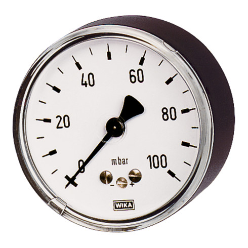 Riegler Kapselfedermanometer, G 1/2 hinten exzentr., 0 - 40 mbar, Ø 100