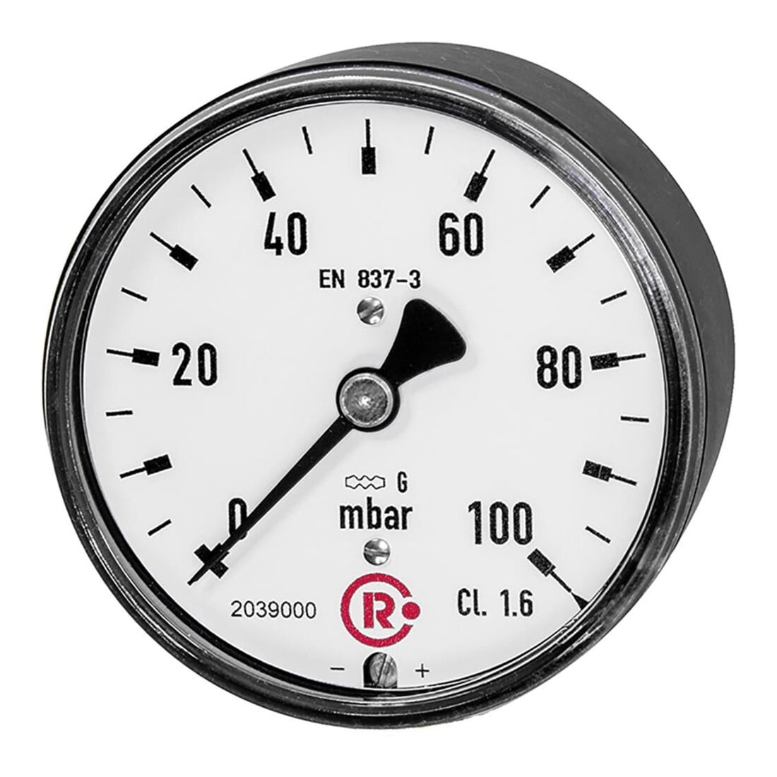 Riegler Kapselfedermanometer, G 1/4 hinten zentrisch, 0 - 100 mbar, Ø 63, 5823-R