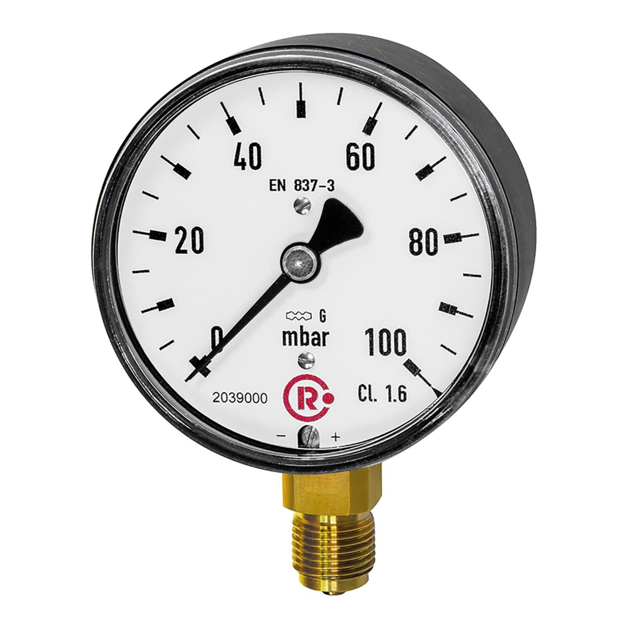 Riegler Kapselfedermanometer, G 1/4 radial unten, -100 / 0 mbar, Ã ̃ 63, 5802-R
