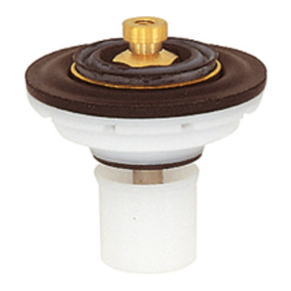 Riegler Kit de remplacement de valve pour régulateur de pression d'eau potable, R 1 1/2, R 2