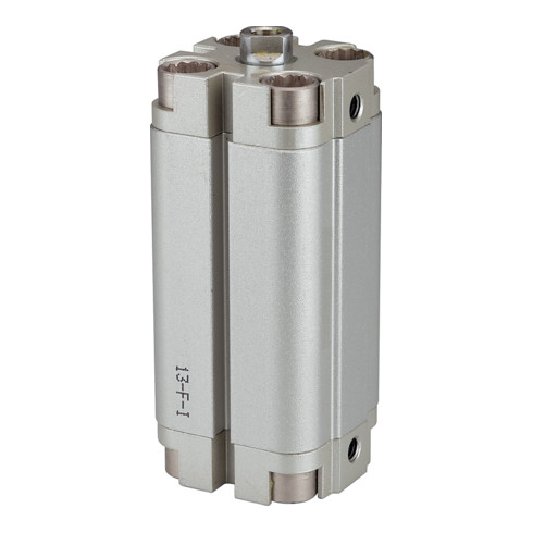 Riegler Kompaktzylinder »ACP« doppeltwirkend, Kolben-Ø 63, Hub 50, G 1/8