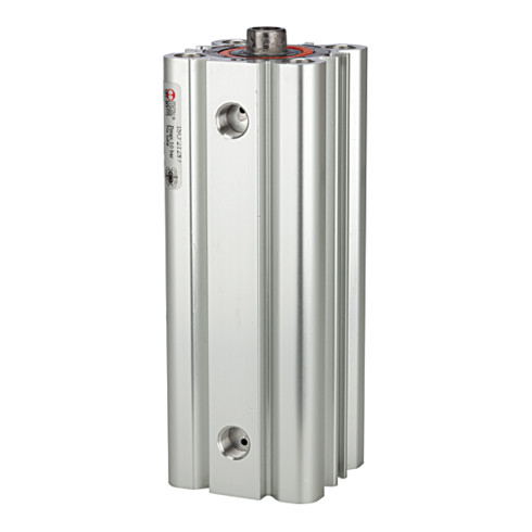 Riegler Kompaktzylinder LINER, doppeltwirk., IG Kol.-Ø 100, Hub 50, G 1/8