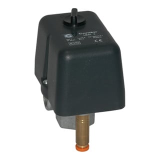 Riegler Kompressoren Pressostat, courant alternatif, F4 1/4, G 1/4, 4-12 bar