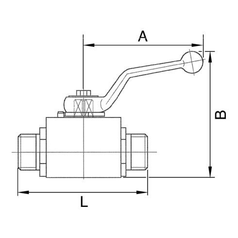 Riegler Kugelhahn, Hochdruckausführung, leichte Reihe, Stahl, M22x1,5