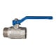 RIEGLER Kugelhahn »valve line«, Handhebel blau, MS vernickelt-1