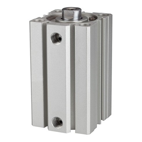 Riegler Kurzhubzylinder »ACQ« doppeltwirkend, Kolben-Ø 100, Hub 45, G 3/8