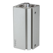 Riegler Kurzhubzylinder »ACQ« doppeltwirkend, Kolben-Ã˜ 20, Hub 10, M5x0,8