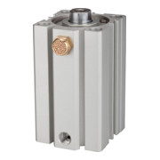 Riegler Kurzhubzylinder  »ASQ « einfachwirkend, Kolben-Ã˜ 32, Hub 5, G 1/8