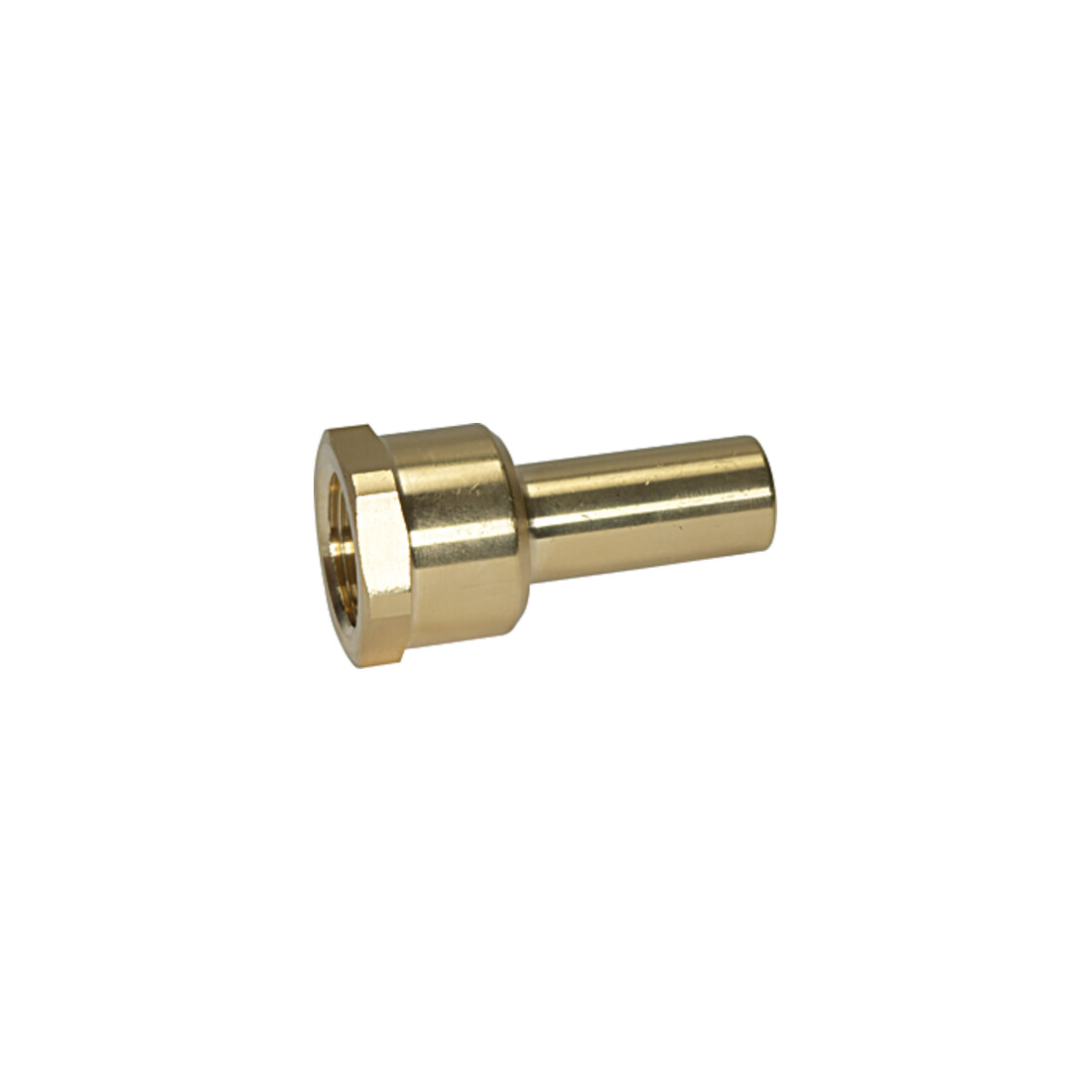 RIEGLER Manchon à visser laiton IG 1/2 BSP pour tube diamètre extérieur 15 mm