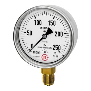 Riegler Manomètre à capsule, acier CrNi, G 1/2 bas, 0 - 60 mbar, Ø 100, 6841-R