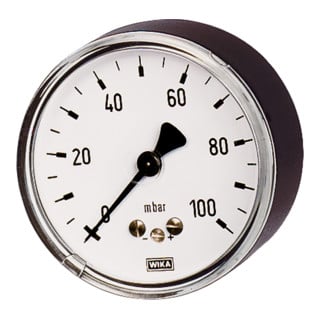 Riegler Manomètre à capsule, G 1/4 arrière centré, 0 - 250 mbar, Ø 63, 5825