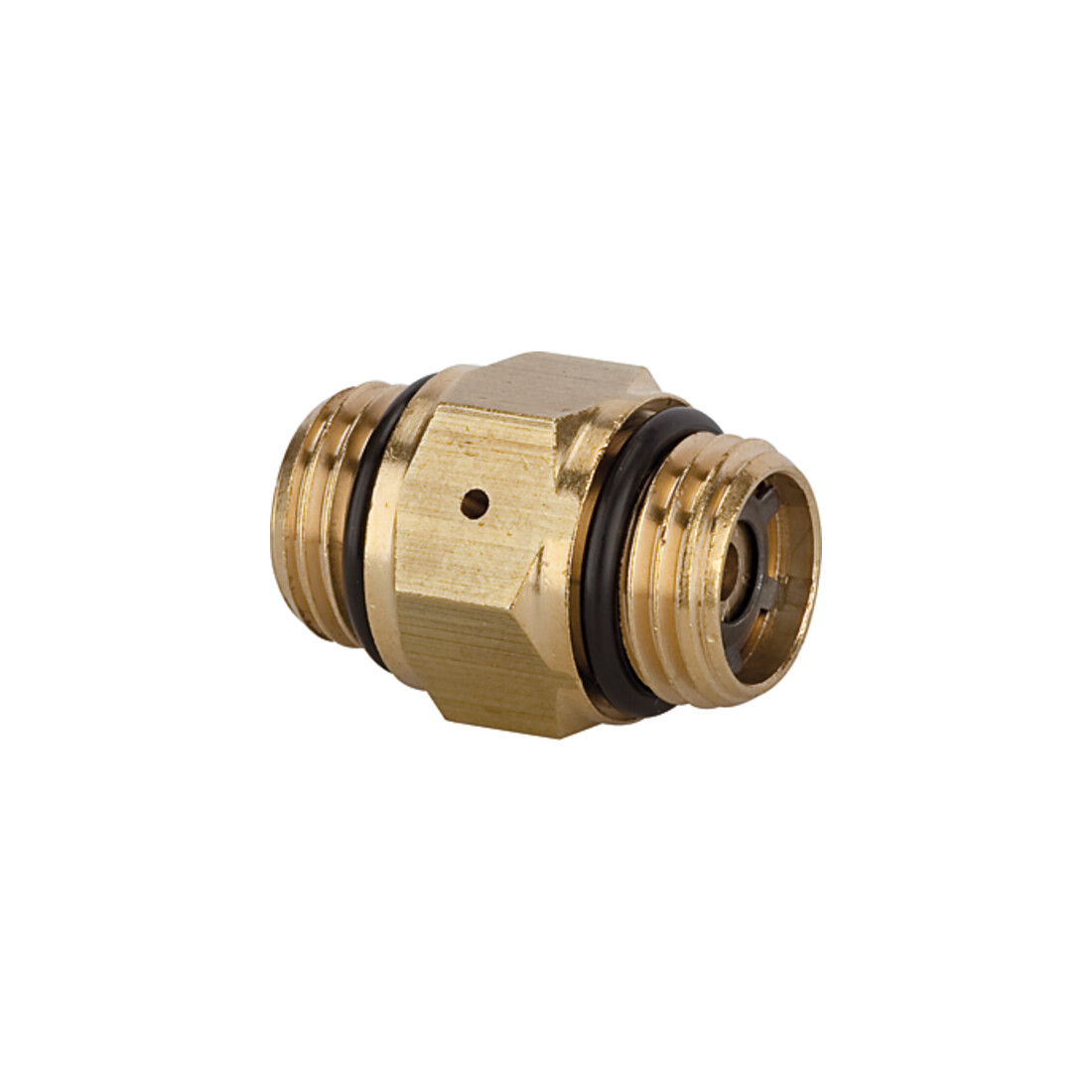 Riegler Mini-régulateur de pression, 2 x G 1/4 M, 6 bar