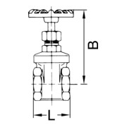 Riegler Muffen-Absperrventil, Messing, G 2, DN 50-3