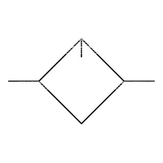 RIEGLER Nebelöler Standard mit Polycarbonatbehälter