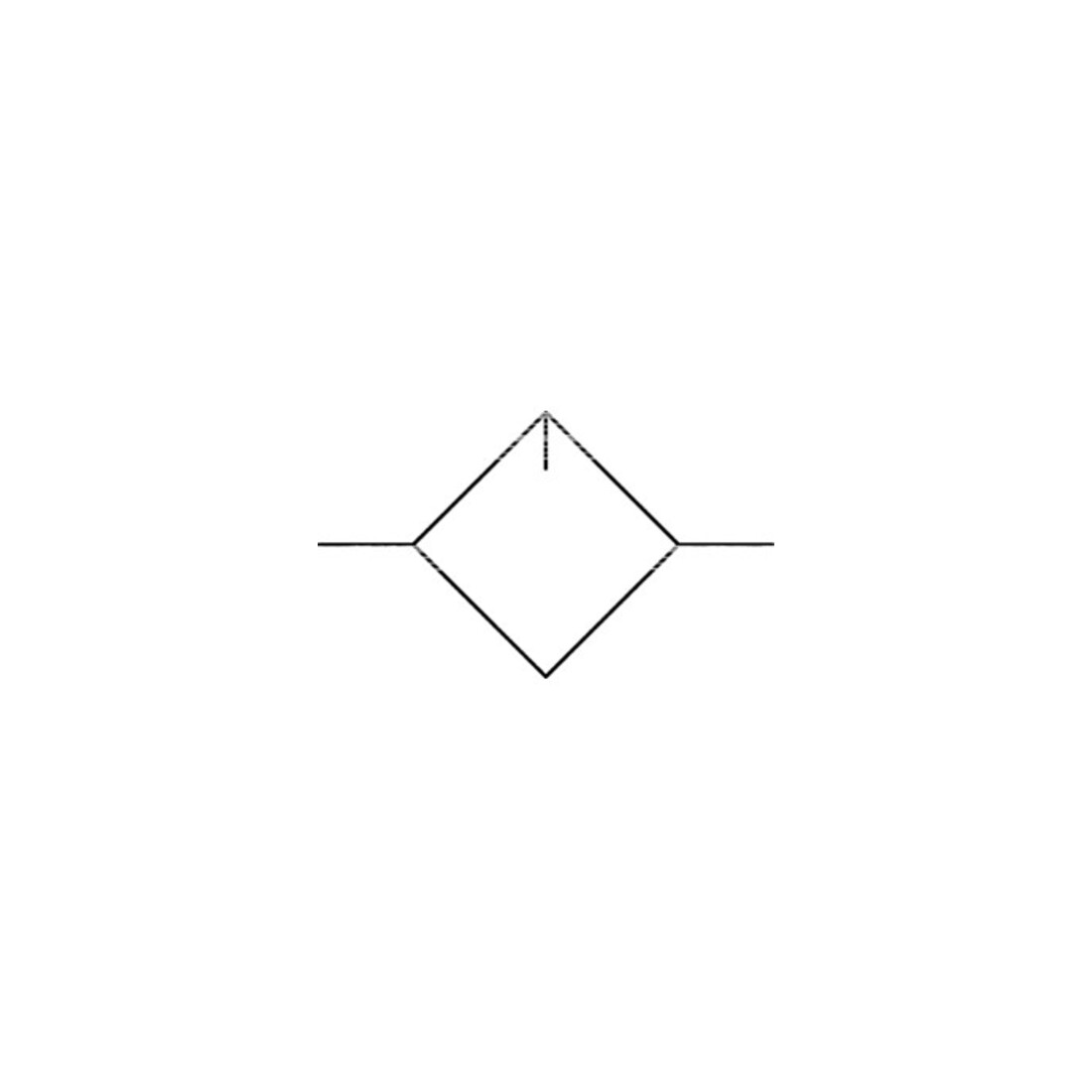 Riegler Nebelöler »Standard«, mit Polycarbonatbehälter, BG 3, G 1