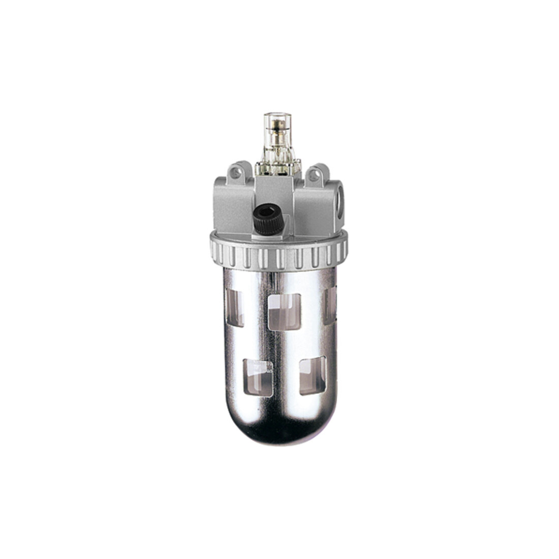 Riegler Nebuliseur « Standard » avec réservoir PC et panier de protection, BG 3, G 1