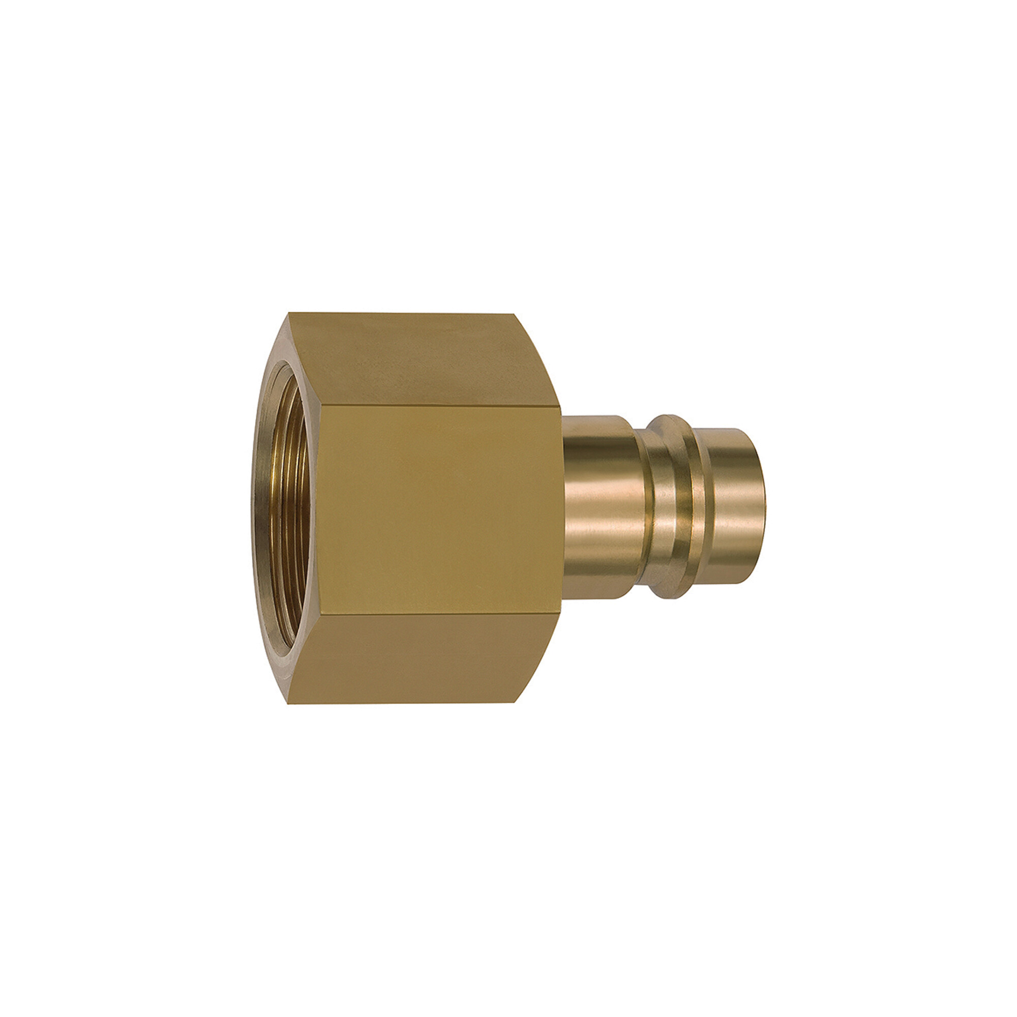 Riegler Nippel für Kupplungen NW 19, Messing blank, G 1 1/4 IG