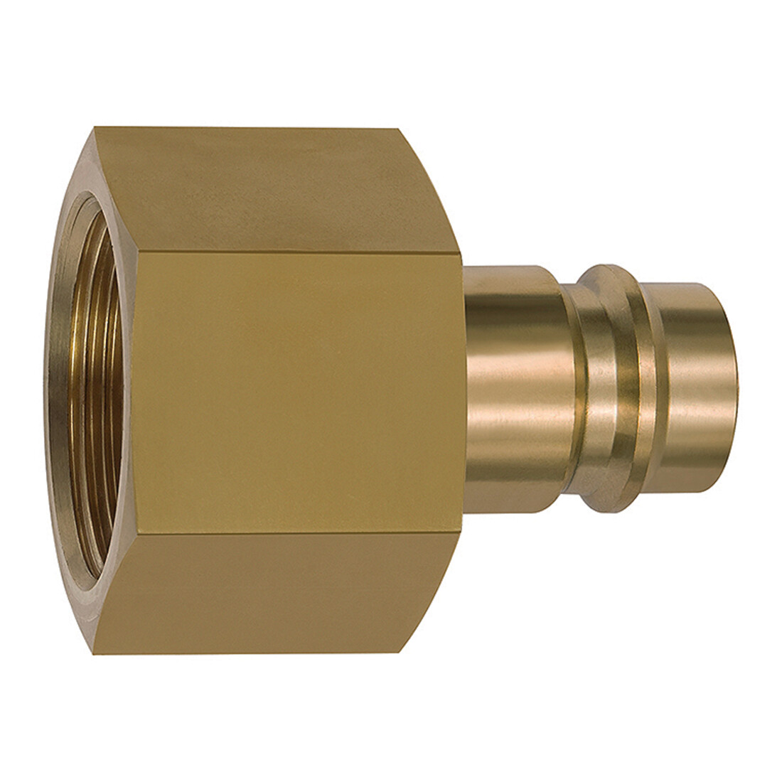 Riegler Nippel für Kupplungen NW 19, Messing blank, G 3/4 IG