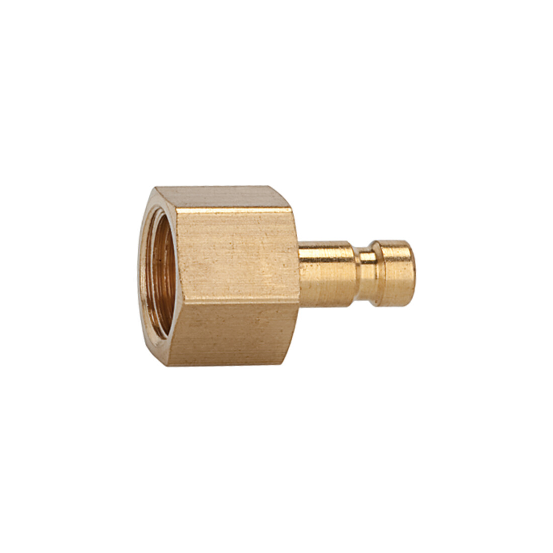 Riegler Nippel für Kupplungen NW 2,7, Messing blank, M5 IG, SW 7