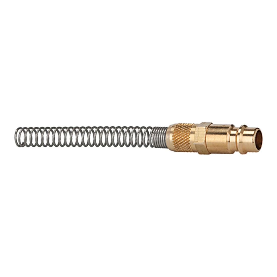 Riegler Nipple, DN 7,2 - 7,8, laiton poli, 10x8, écrou à bague, protection anti-coudure