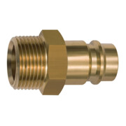 Riegler Nipple pour raccords NW 19, laiton brut, G 1 AG-1