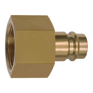 Riegler Nipple pour raccords NW 19, laiton brut, G 3/4 FI