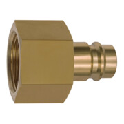 Riegler Nipples pour raccords NW 19, laiton brut, G 1 1/4 IG-1
