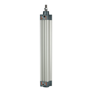Riegler Norme cylindre, double effet, aimant, Ø piston 100, course 100, G 1/2