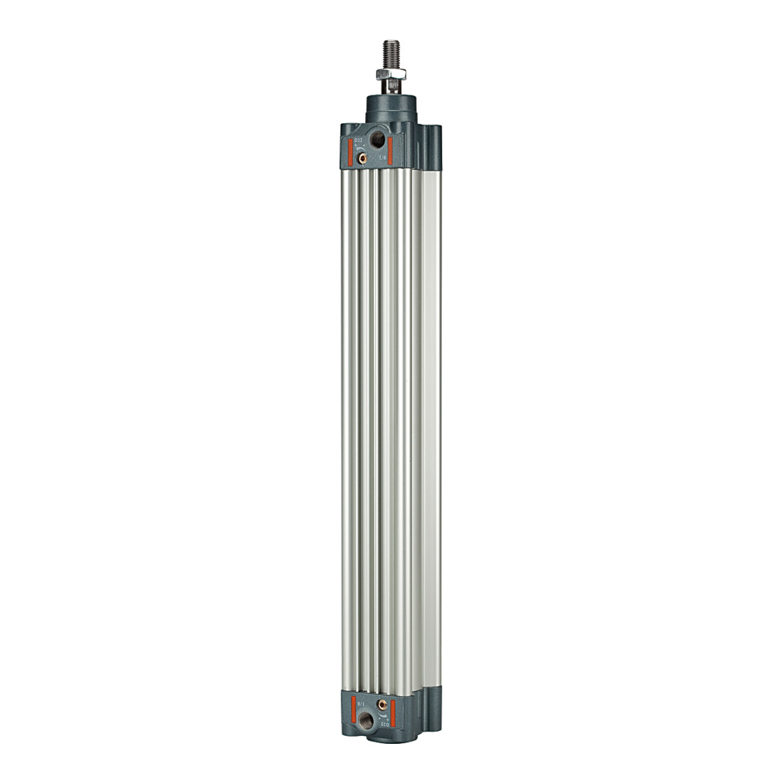 Riegler Norme cylindre, double effet, aimant, Ø piston 100, course 800, G 1/2
