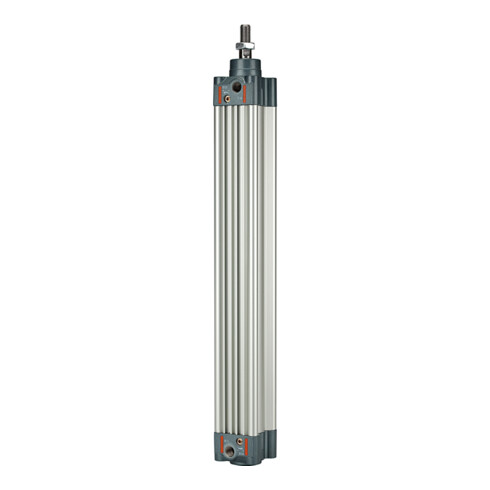 Riegler Normzylinder, doppeltwirk., Magnet, Kolben-Ø 125, Hub 100, G 1/2
