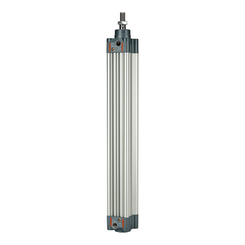 Riegler Normzylinder, doppeltwirk., Magnet, Kolben-Ã˜ 100, Hub 600, G 1/2