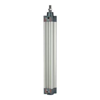 Riegler Normzylinder double effet, aimant, Ø piston 125, course 100, G 1/2