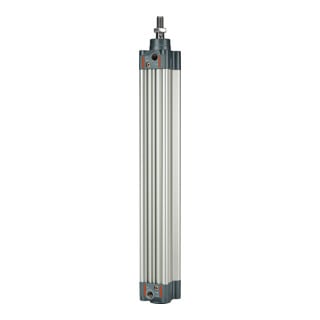 Riegler Normzylinder double effet, aimant, Ø piston 125, course 600, G 1/2
